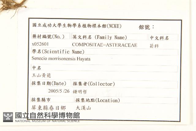 玉山黃菀藏品圖，第2張