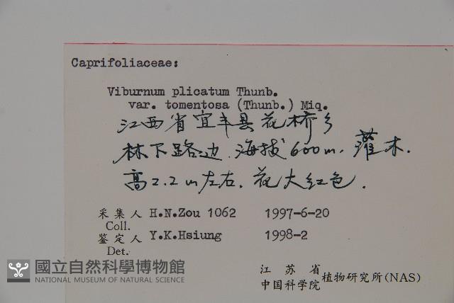 蝴蝶莢迷藏品圖，第2張