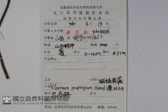 高山莢迷藏品圖，第2張