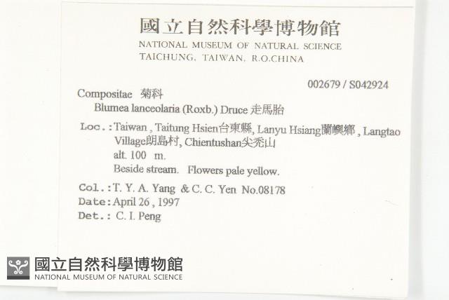 走馬胎藏品圖，第2張