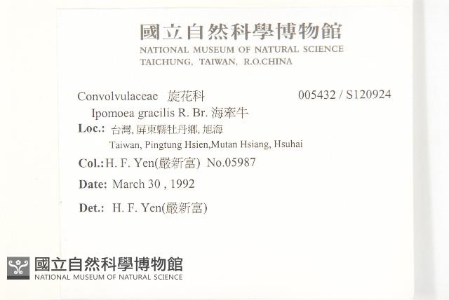 海牽牛藏品圖，第2張