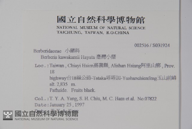 臺灣小蘗藏品圖，第2張