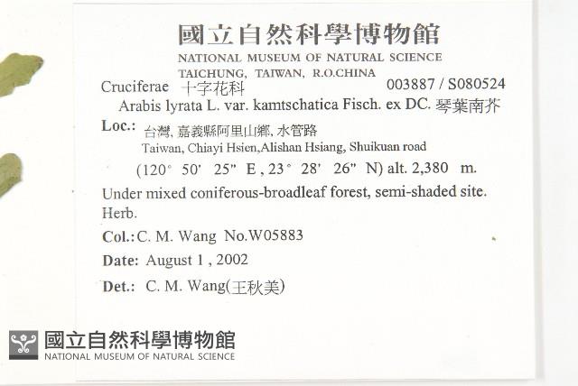 琴葉南芥藏品圖，第2張