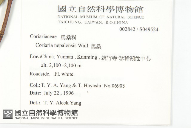 馬桑藏品圖，第2張