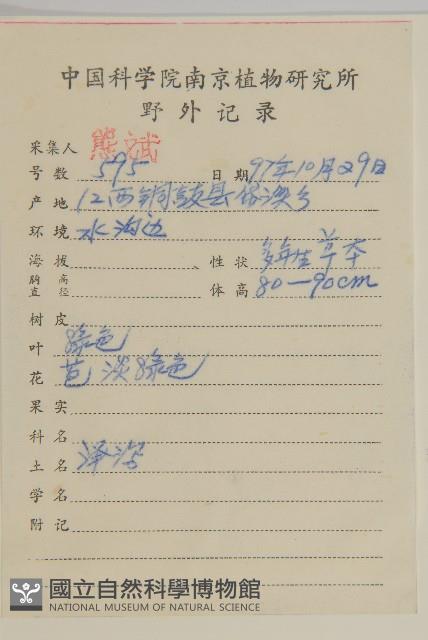 下田菊藏品圖，第2張