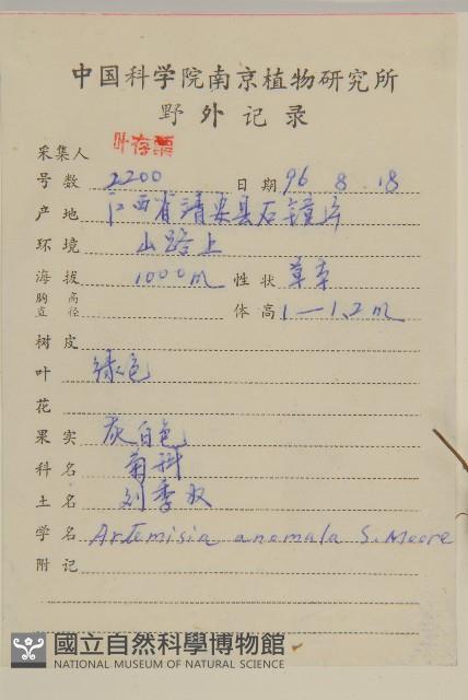 珍珠蒿、奇蒿藏品圖，第2張