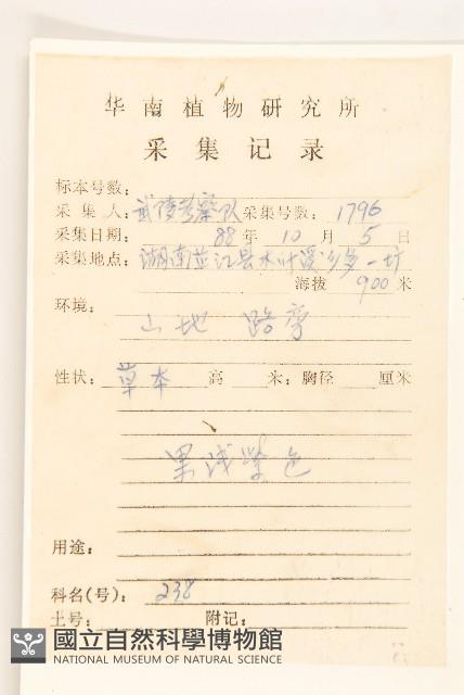 林氏澤蘭藏品圖，第2張