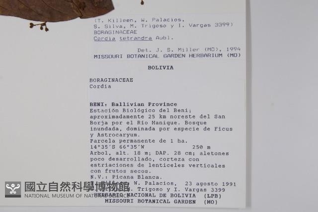 登錄號:S018404藏品圖，第2張