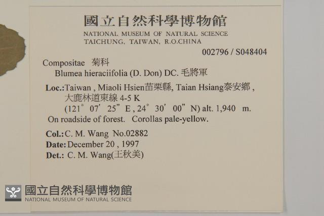 毛將軍藏品圖，第2張