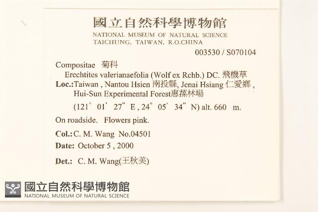 飛機草藏品圖，第2張