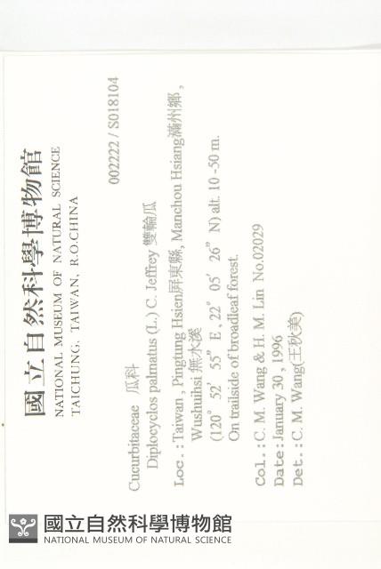 雙輪瓜藏品圖，第2張