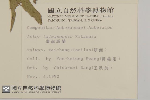 臺灣馬蘭藏品圖，第2張