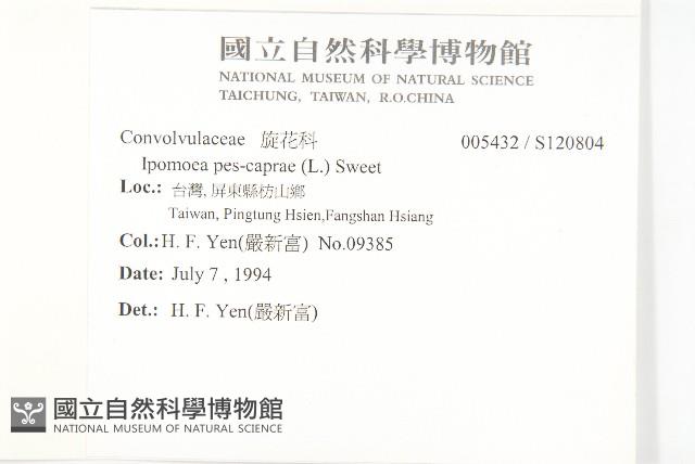 登錄號:S120804藏品圖，第2張