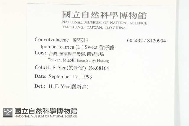 番仔藤藏品圖，第2張