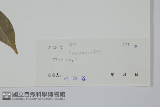 登錄號:S038504藏品圖，第2張