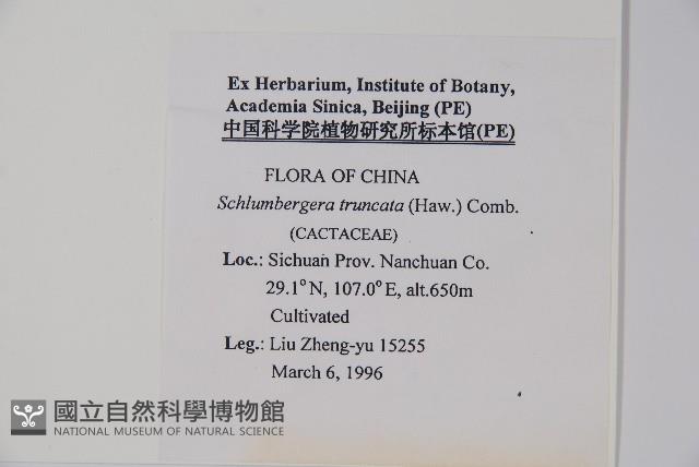 登錄號:S048504藏品圖，第2張