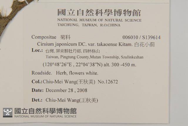 雞觴刺、島薊藏品圖，第2張