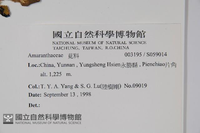 Accession Number:S059014 Collection Image, Figure 2, Total 2 Figures