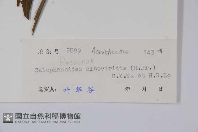 登錄號:S038014藏品圖，第2張