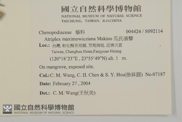 馬氏濱藜藏品圖，第2張