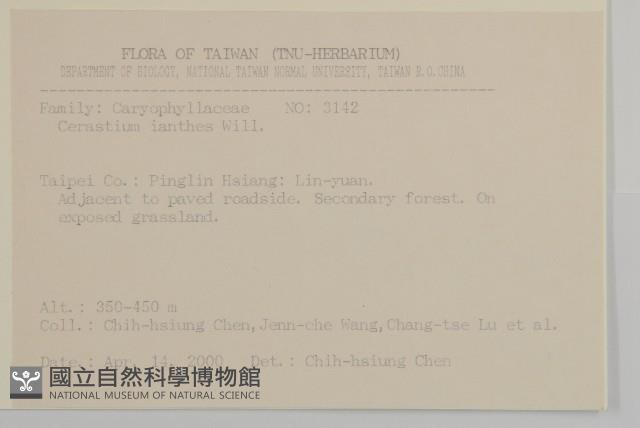 卷耳藏品圖，第2張