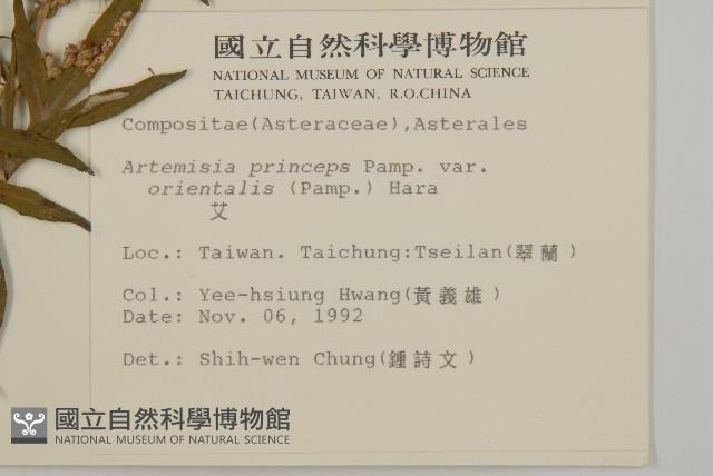 中南蒿藏品圖，第2張