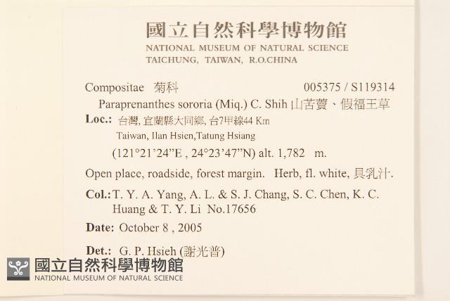 山苦藚、假福王草藏品圖，第2張