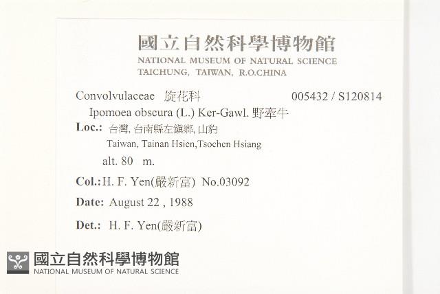 野牽牛藏品圖，第2張