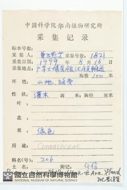 紅葉藤藏品圖，第2張