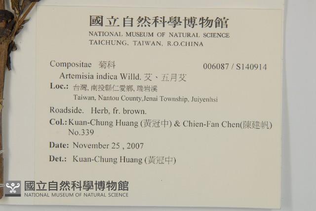 中南蒿藏品圖，第2張