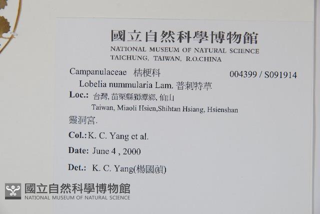 普刺特草藏品圖，第2張