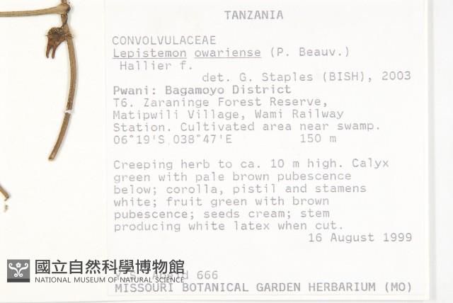 登錄號:S093914藏品圖，第2張