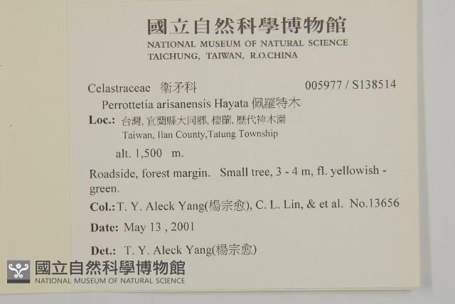 佩羅特木藏品圖，第2張