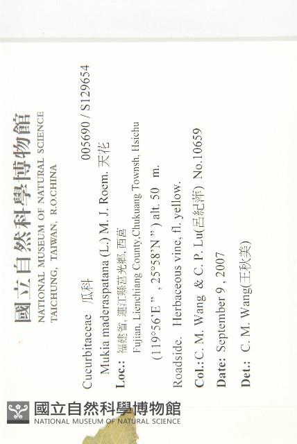 天花藏品圖，第2張