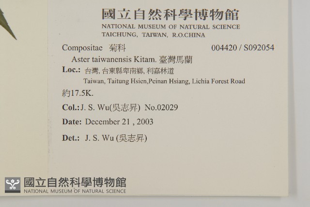 臺灣馬蘭藏品圖，第2張