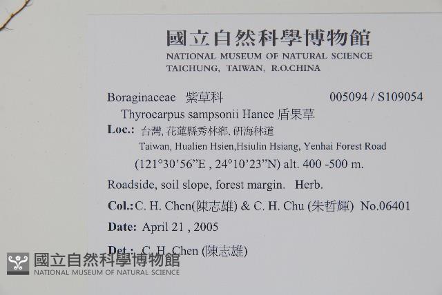 盾果草藏品圖，第2張