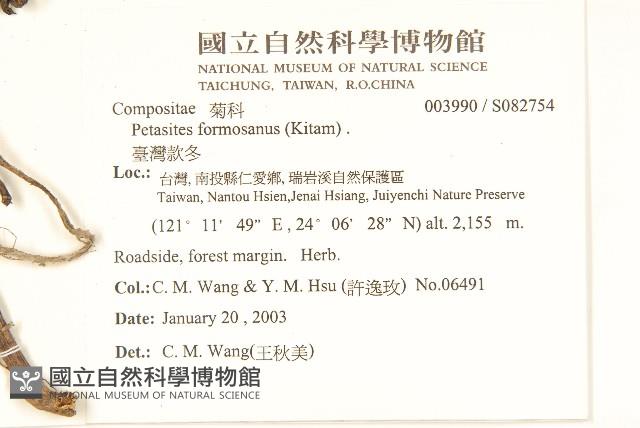 臺灣款冬藏品圖，第2張