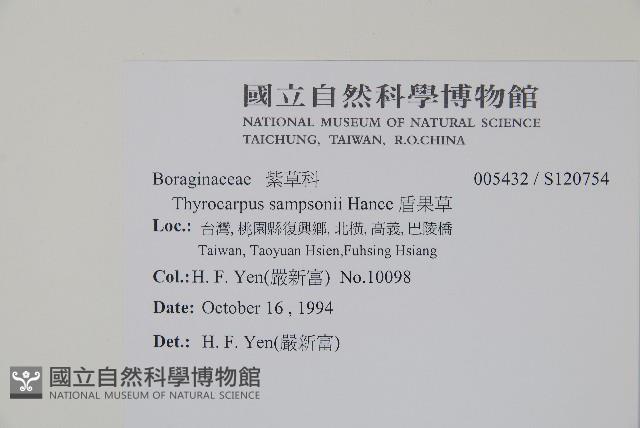 盾果草藏品圖，第2張