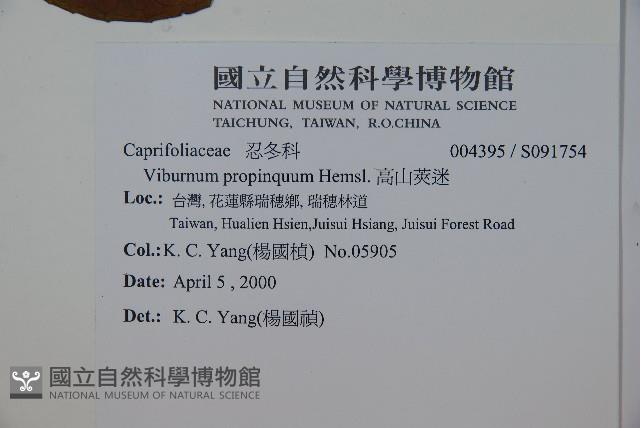 高山莢迷藏品圖，第2張