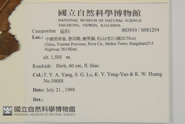 登錄號:S081254藏品圖，第2張