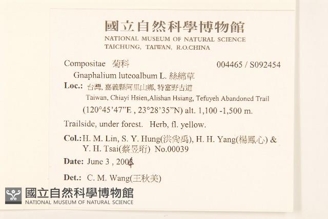 絲綿草藏品圖，第2張