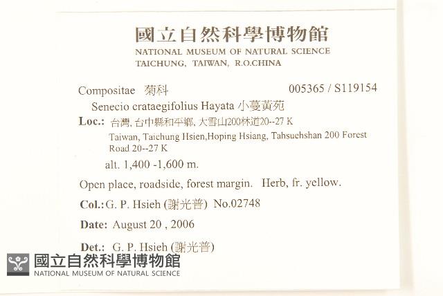 小蔓黃苑藏品圖，第2張