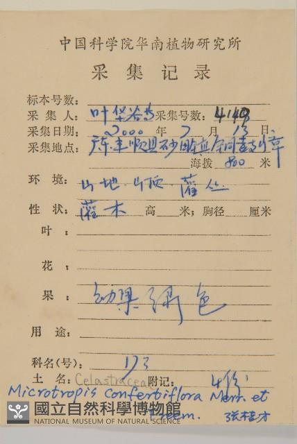 密花假衛矛藏品圖，第2張