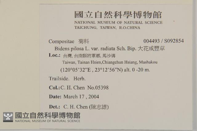 大花咸豐草藏品圖，第2張