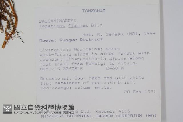 登錄號:S100854藏品圖，第2張