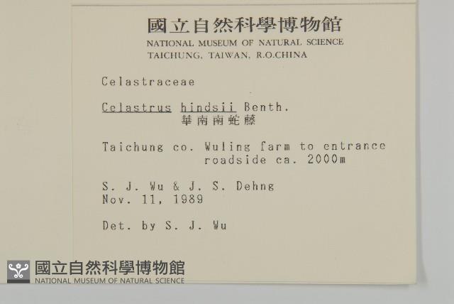 南華南蛇藤，青江藤藏品圖，第2張