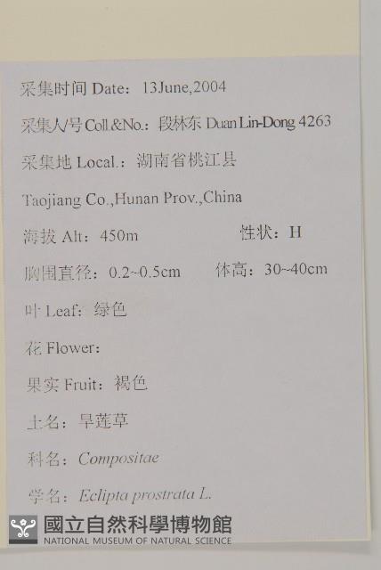 鱧腸藏品圖，第2張