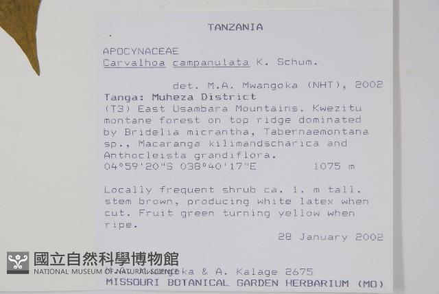 登錄號:S095854藏品圖，第2張