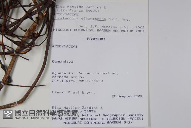 登錄號:S100954藏品圖，第2張