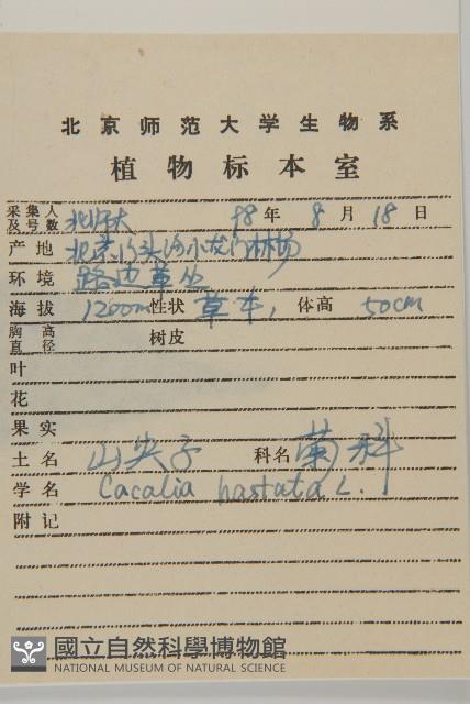 山尖子藏品圖，第2張